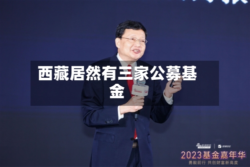 西藏居然有三家公募基金-第2张图片