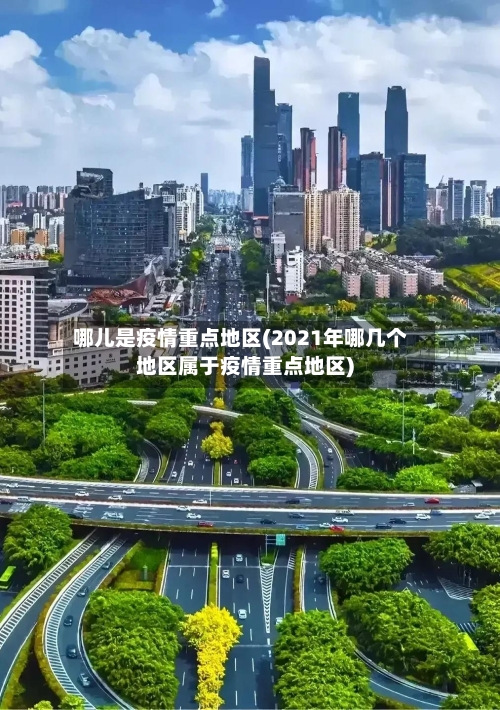 哪儿是疫情重点地区(2021年哪几个地区属于疫情重点地区)-第2张图片