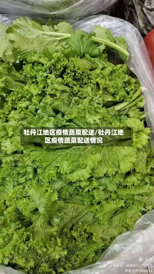 牡丹江地区疫情蔬菜配送/牡丹江地区疫情蔬菜配送情况
