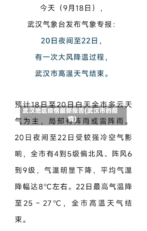武汉地区疫情最新报告(武汉市的疫情)