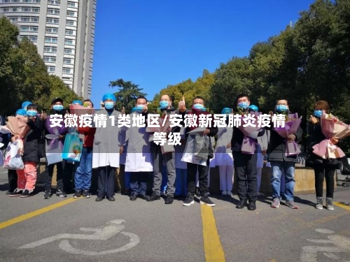 安徽疫情1类地区/安徽新冠肺炎疫情等级-第3张图片