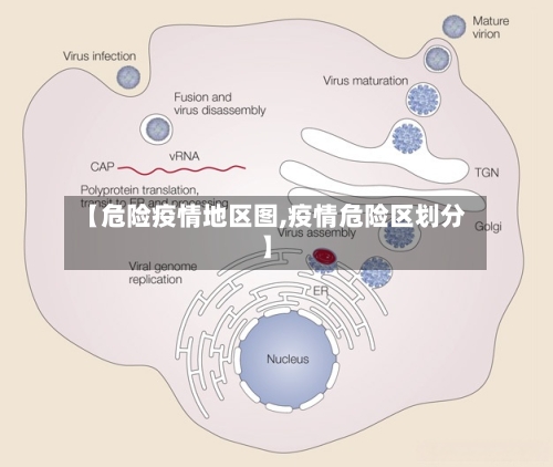 【危险疫情地区图,疫情危险区划分】-第2张图片