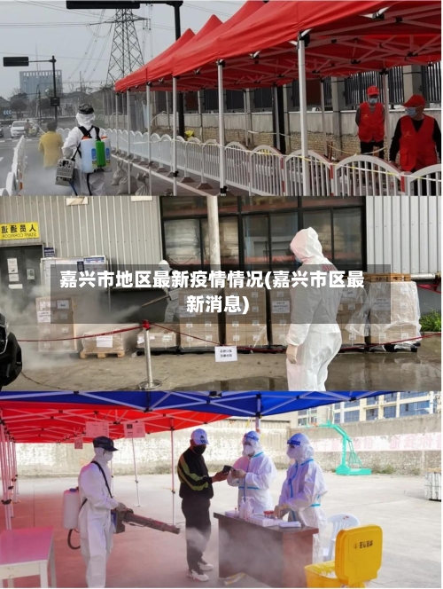 嘉兴市地区最新疫情情况(嘉兴市区最新消息)-第3张图片