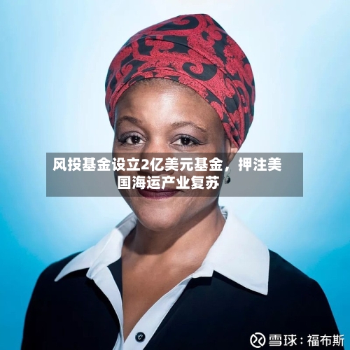 风投基金设立2亿美元基金，押注美国海运产业复苏-第2张图片