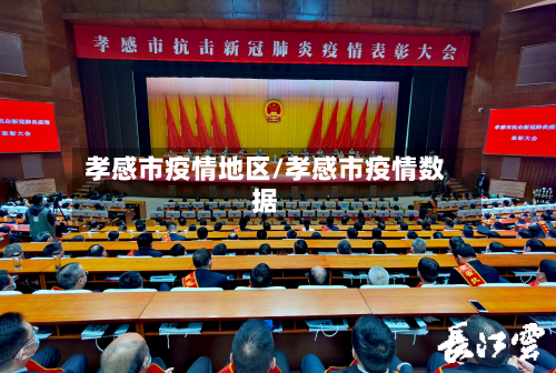 孝感市疫情地区/孝感市疫情数据-第2张图片