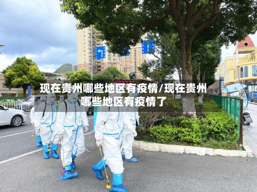 现在贵州哪些地区有疫情/现在贵州哪些地区有疫情了