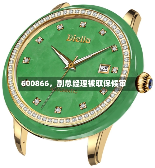 600866，副总经理被取保候审