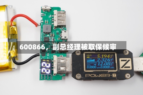 600866	，副总经理被取保候审-第2张图片