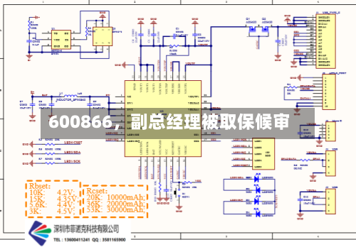 600866，副总经理被取保候审-第3张图片
