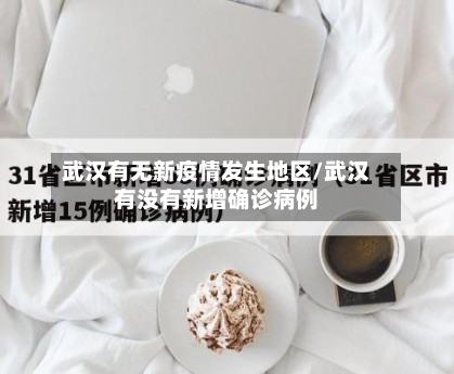 武汉有无新疫情发生地区/武汉有没有新增确诊病例-第2张图片