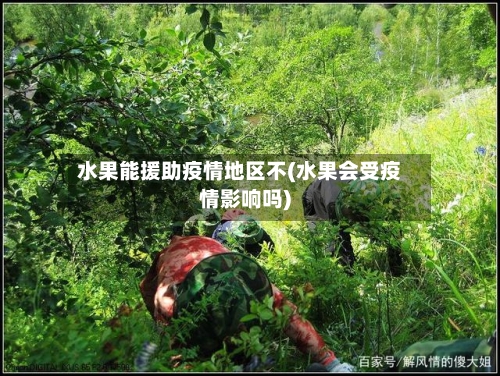 水果能援助疫情地区不(水果会受疫情影响吗)