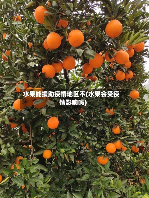 水果能援助疫情地区不(水果会受疫情影响吗)-第2张图片