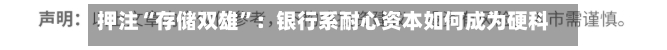 押注“存储双雄”：银行系耐心资本如何成为硬科技背后推手？-第3张图片