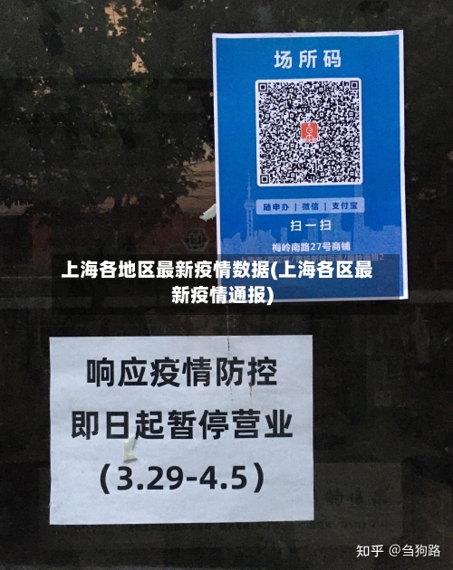 上海各地区最新疫情数据(上海各区最新疫情通报)-第3张图片