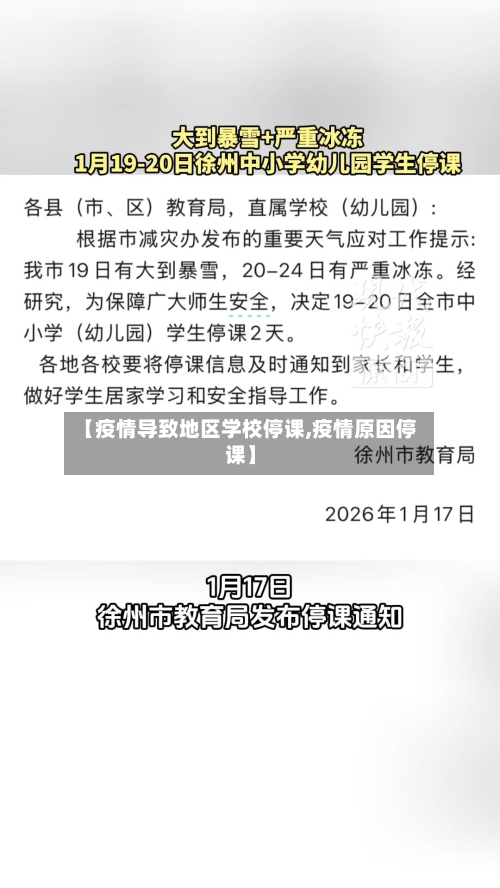 【疫情导致地区学校停课,疫情原因停课】-第2张图片