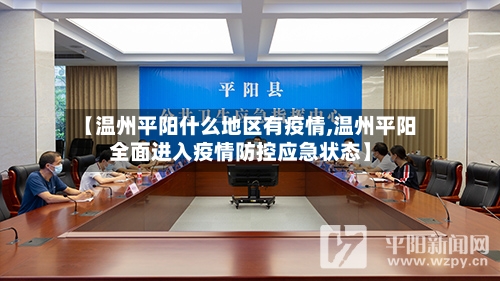 【温州平阳什么地区有疫情,温州平阳全面进入疫情防控应急状态】-第2张图片