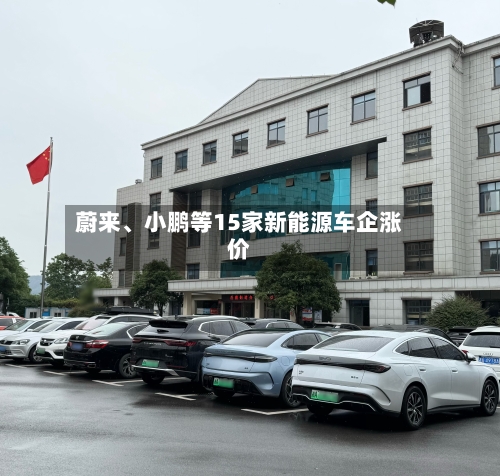 蔚来、小鹏等15家新能源车企涨价-第2张图片