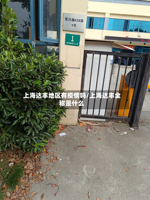 上海达丰地区有疫情吗/上海达丰全称是什么-第3张图片