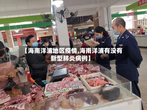 【海南洋浦地区疫情,海南洋浦有没有新型肺炎病例】
