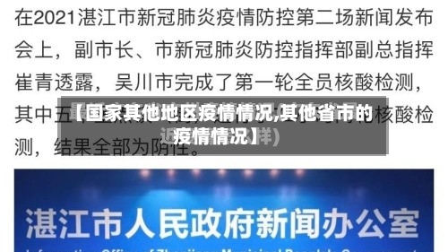 【国家其他地区疫情情况,其他省市的疫情情况】-第3张图片