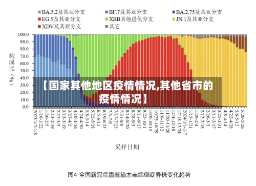 【国家其他地区疫情情况,其他省市的疫情情况】-第2张图片