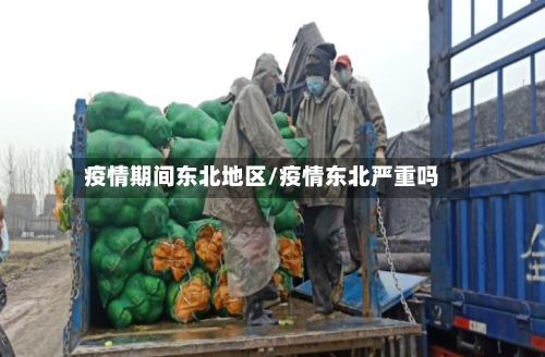 疫情期间东北地区/疫情东北严重吗