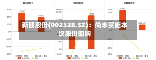 新朋股份(002328.SZ)：尚未实施本次股份回购