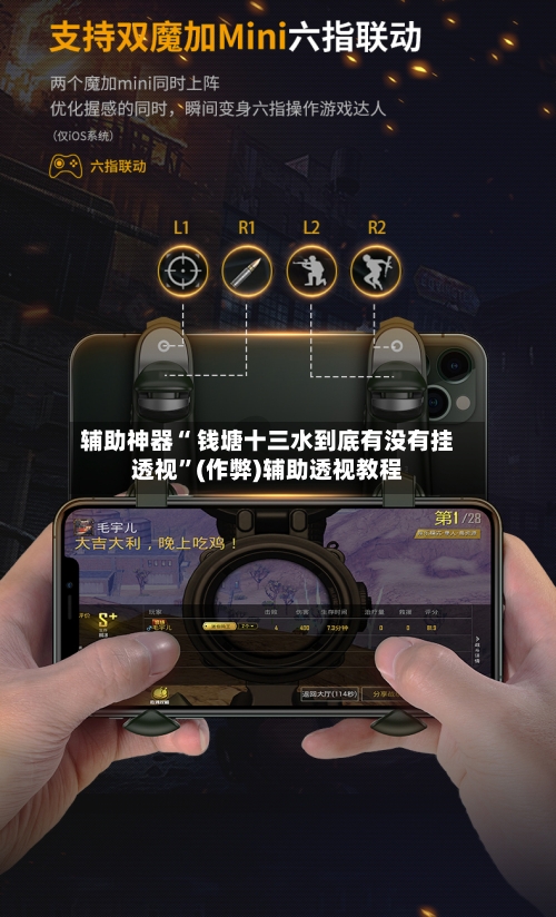 辅助神器“ 钱塘十三水到底有没有挂透视	”(作弊)辅助透视教程-第3张图片