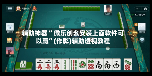 辅助神器“ 微乐创幺安装上面软件可以赢”(作弊)辅助透视教程-第3张图片