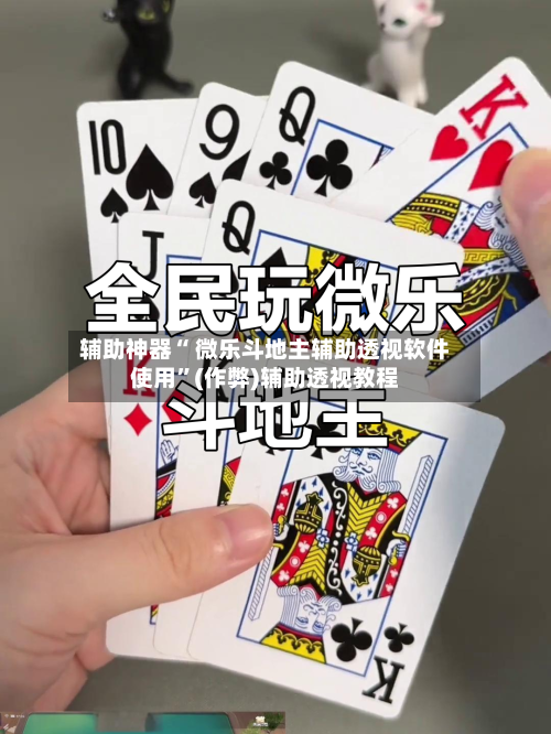 辅助神器“ 微乐斗地主辅助透视软件使用”(作弊)辅助透视教程