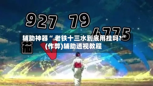 辅助神器“ 老铁十三水到底用挂吗?”(作弊)辅助透视教程-第2张图片