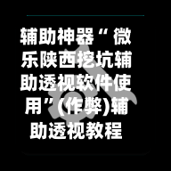 辅助神器“ 微乐陕西挖坑辅助透视软件使用”(作弊)辅助透视教程-第2张图片
