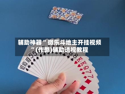 辅助神器“ 微乐斗地主开挂视频”(作弊)辅助透视教程