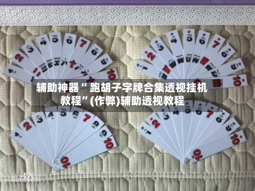 辅助神器“ 跑胡子字牌合集透视挂机教程	”(作弊)辅助透视教程-第2张图片