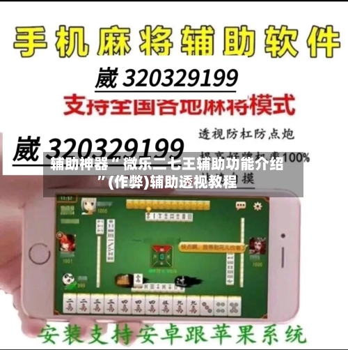 辅助神器“ 微乐二七王辅助功能介绍	”(作弊)辅助透视教程-第2张图片