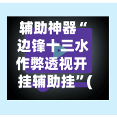 辅助神器“ 边锋十三水作弊透视开挂辅助挂”(作弊)辅助透视教程-第3张图片