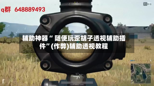 辅助神器“ 随便玩歪胡子透视辅助插件”(作弊)辅助透视教程