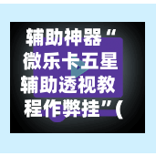辅助神器“ 微乐卡五星辅助透视教程作弊挂”(作弊)辅助透视教程-第2张图片