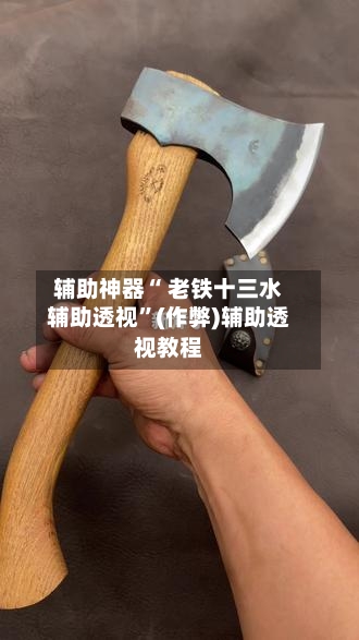 辅助神器“ 老铁十三水辅助透视”(作弊)辅助透视教程-第2张图片