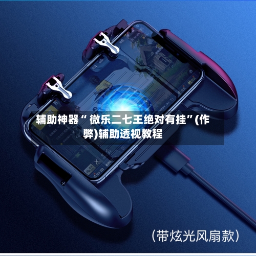 辅助神器“ 微乐二七王绝对有挂”(作弊)辅助透视教程-第3张图片