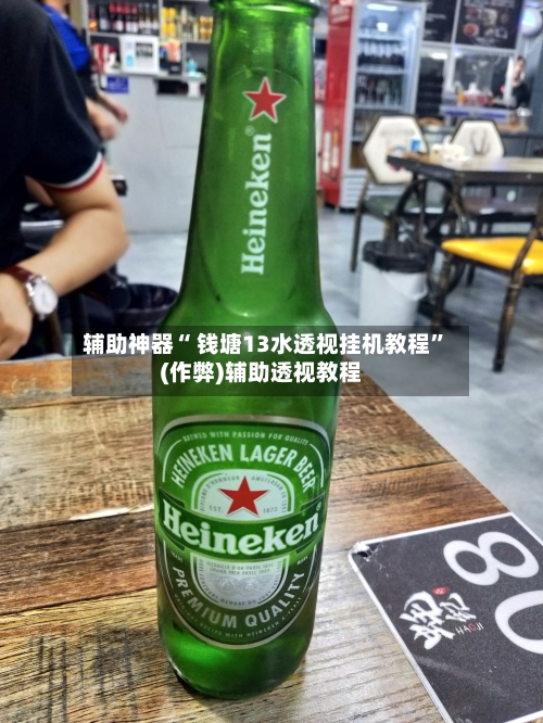 辅助神器“ 钱塘13水透视挂机教程	”(作弊)辅助透视教程-第3张图片