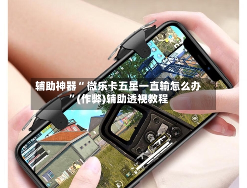 辅助神器“ 微乐卡五星一直输怎么办”(作弊)辅助透视教程-第2张图片