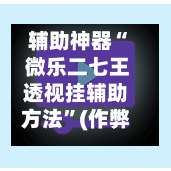 辅助神器“ 微乐二七王透视挂辅助方法”(作弊)辅助透视教程-第2张图片