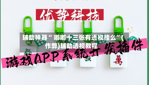 辅助神器“ 嘟嘟十三张有透视挂么”(作弊)辅助透视教程-第2张图片