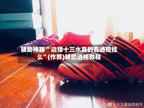 辅助神器“ 边锋十三水真的有透视挂么”(作弊)辅助透视教程-第2张图片