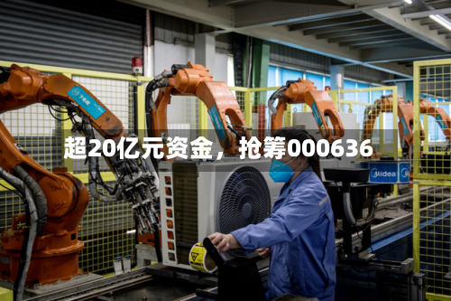 超20亿元资金，抢筹000636-第3张图片