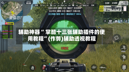 辅助神器“ 掌酷十三张辅助插件的使用教程	”(作弊)辅助透视教程-第2张图片