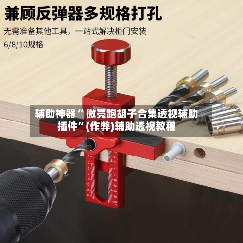 辅助神器“ 微壳跑胡子合集透视辅助插件”(作弊)辅助透视教程