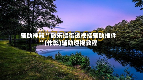 辅助神器“ 微乐掼蛋透视挂辅助插件”(作弊)辅助透视教程-第2张图片