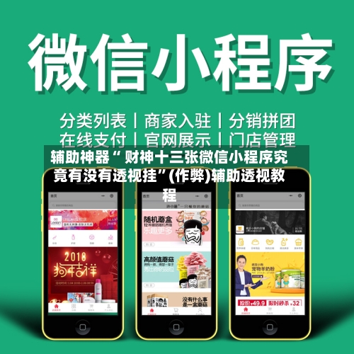 辅助神器“ 财神十三张微信小程序究竟有没有透视挂”(作弊)辅助透视教程-第2张图片